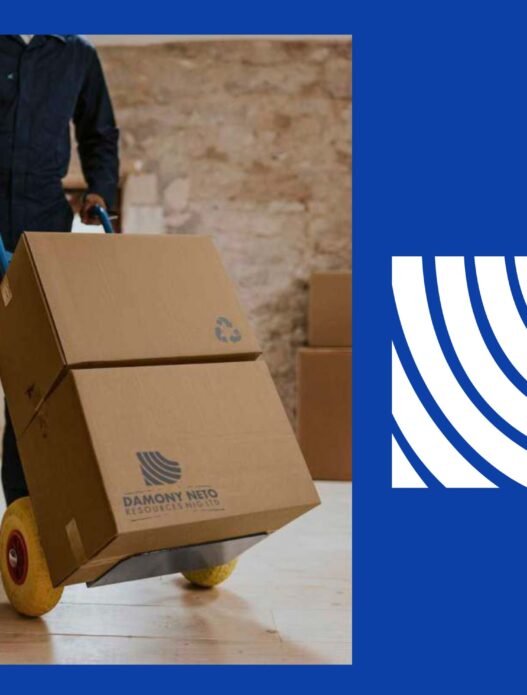 damony_brand_identity