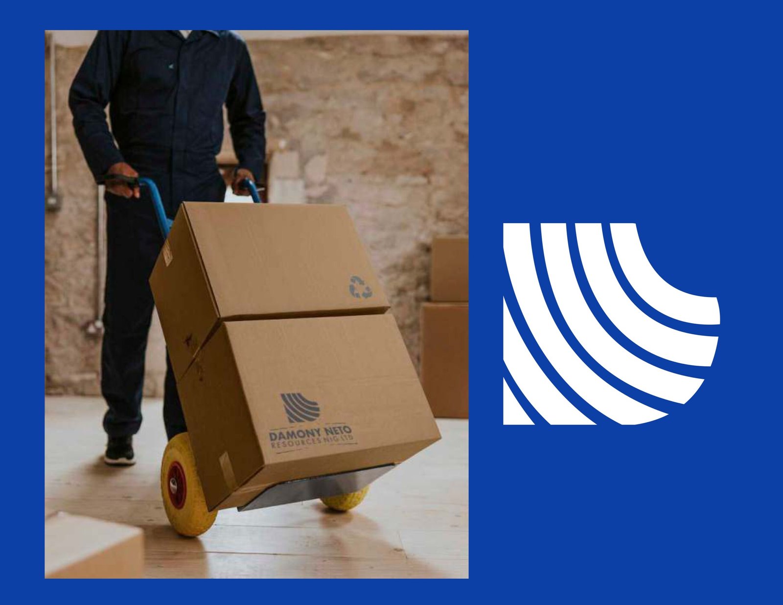 damony_brand_identity