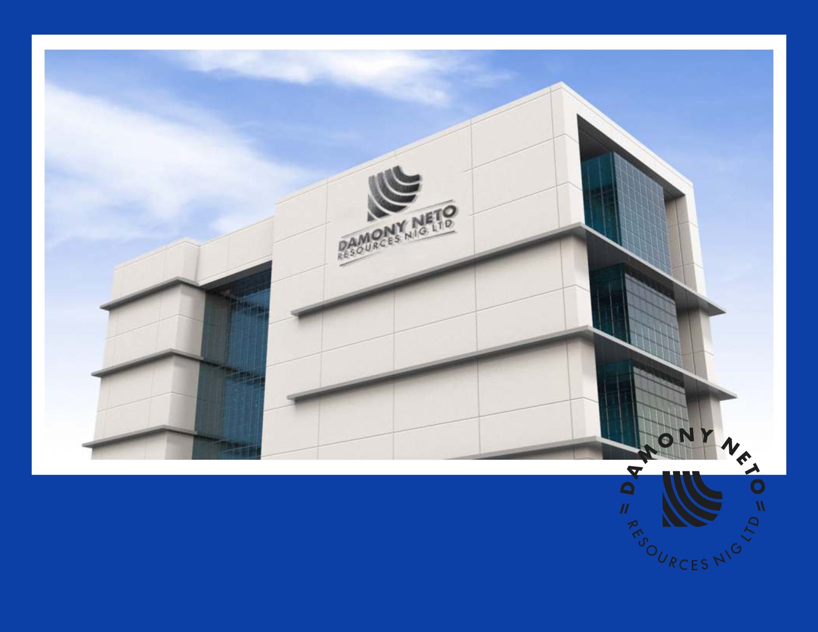 damony_brand_identity